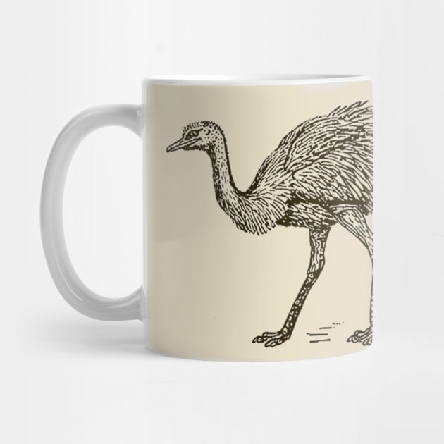 Cute Ostrich Drawing by Drawings Star